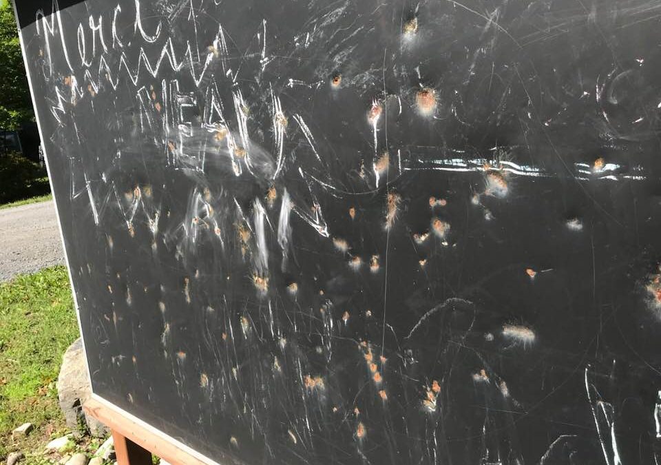 VANDALISME AU PARC CAVALERI