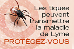 Maladie de Lyme