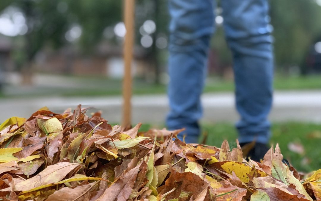 COLLECTES DE FEUILLES – Printemps 2023
