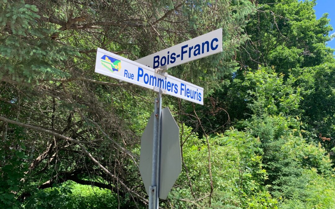 Lundi 14 août 2023 – Début des travaux de réfection de chaussée de 4 rues