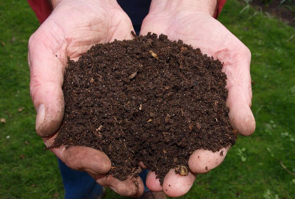 Distribution de compost, de poussière de roches et de copeaux de bois | 2025
