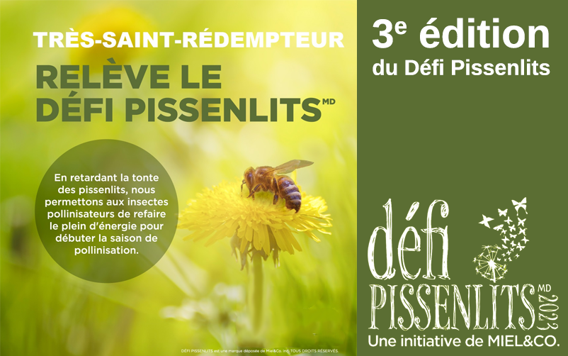 Défi Pissenlits 2023