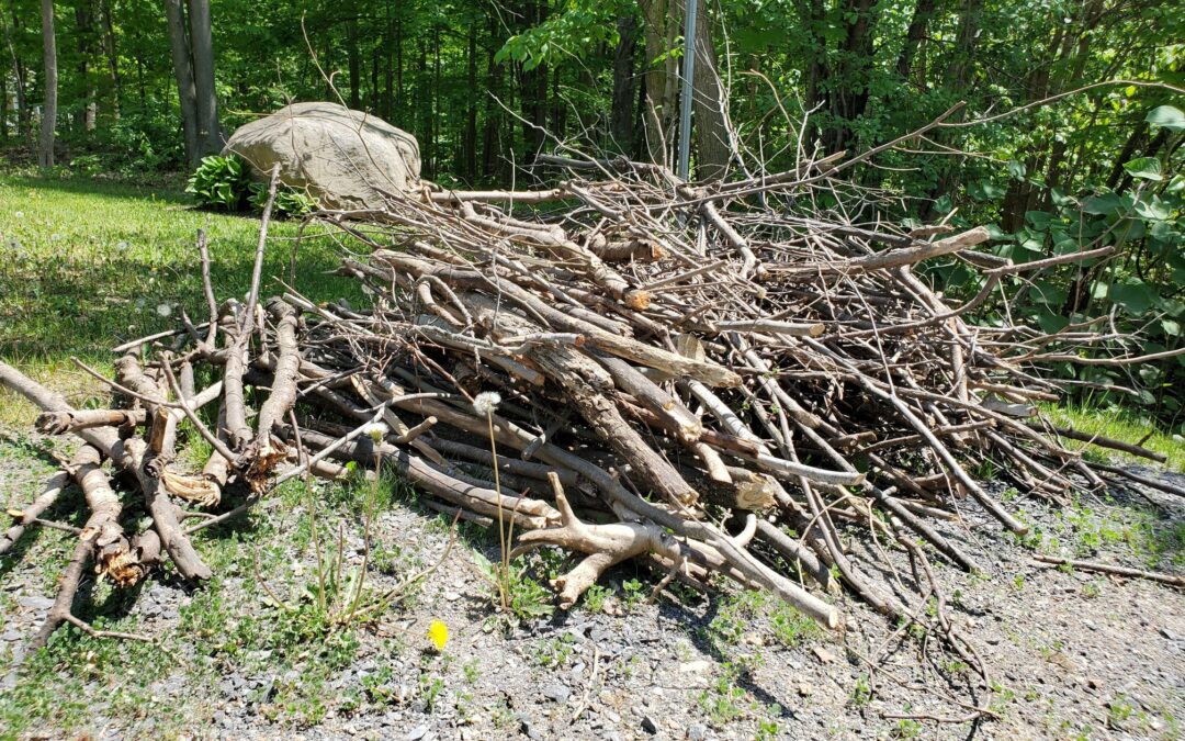 Collecte de branches – Automne 2025