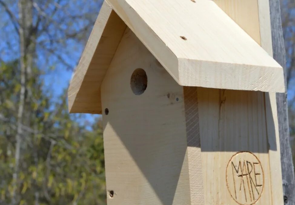 ATELIER | Création d&rsquo;un nichoir à oiseaux