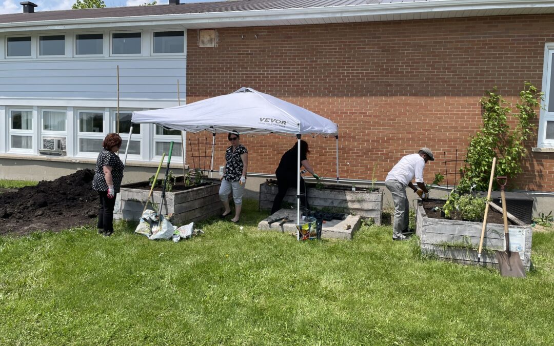 Jardin communautaire de TSR | Saison estivale 2025